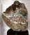 画像1: 　！希少！ブラジル産ライトニングスモーキー水晶原石（1点もの）約9kｇ　高さ約33ｃｍ　幅約23ｃｍ×約13ｃｍ　tm-c383 (1)