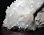 画像3: ヒマラヤ産天然水晶クラスター（台付き）　約784ｇ　高さ約13ｃｍ（台込み）　幅約13cm×約7cm　　　　tm-ｃ533 (3)