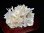 画像2: ３Aヒマラヤ産天然水晶クラスター　約998ｇ　幅約113mm×104mm×92mm　　　　tm-ｃ694 (2)
