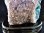 画像3: ウルグアイ産天然フラワーアメジストクラスター（台付き）約7.3ｋｇ　高さ約270ｍm　幅約210ｍｍ×110ｍｍ　　　　tm-ｃ770 (3)