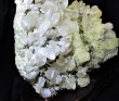 画像5: ヒマラヤ産　グリーントルマリン入り水晶クラスター　約4ｋｇ　高さ約20ｃｍ（台込み）　幅約22cm×約12cm　tm-ｃ221